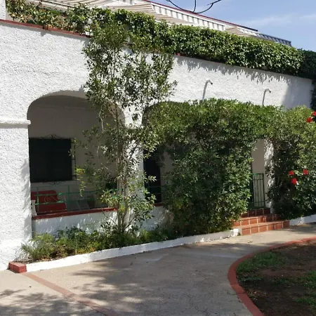 Feli * Benicàssim